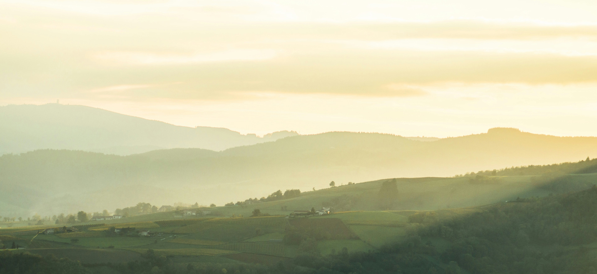 Le pays d'othe : Un terroir d'exception